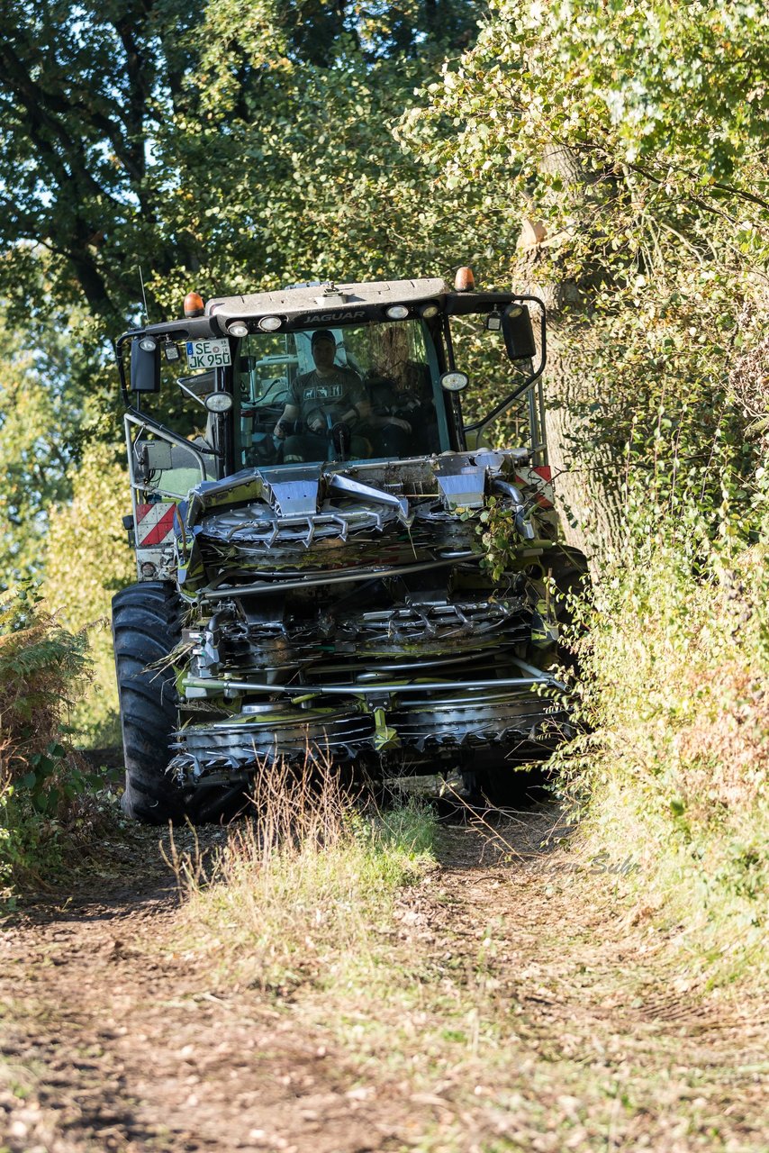 Bild 128 - Maisernte